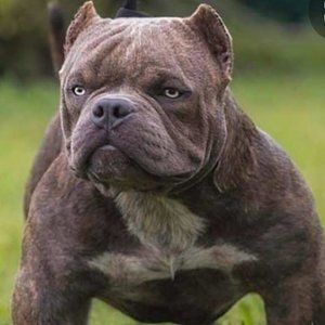 Meet your Posher, Viktoria